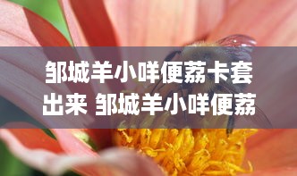 邹城羊小咩便荔卡套出来 邹城羊小咩便荔卡套出来，揭秘这款神奇产品的魅力所在