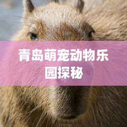 青岛萌宠动物乐园探秘
