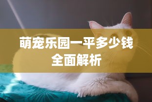 萌宠乐园一平多少钱全面解析