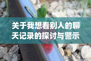 关于我想看别人的聊天记录的探讨与警示