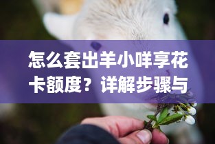 怎么套出羊小咩享花卡额度？详解步骤与实用技巧