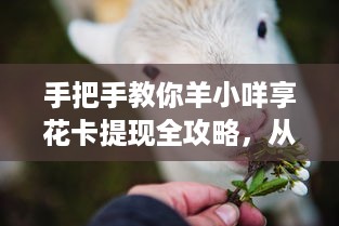 手把手教你羊小咩享花卡提现全攻略，从入门到精通的完整指南