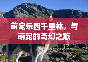 萌宠乐园千里林，与萌宠的奇幻之旅