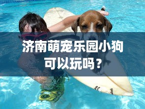 济南萌宠乐园小狗可以玩吗？
