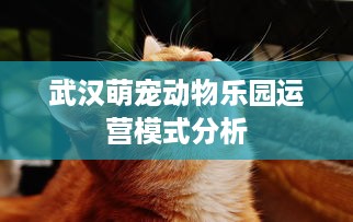武汉萌宠动物乐园运营模式分析