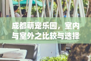 成都萌宠乐园，室内与室外之比较与选择