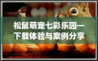 松鼠萌宠七彩乐园—下载体验与案例分享