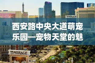 西安路中央大道萌宠乐园—宠物天堂的魅力之旅