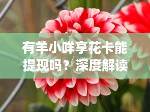 有羊小咩享花卡能提现吗？深度解读享花卡使用规则与提现问题