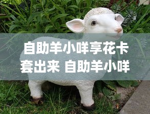 自助羊小咩享花卡套出来 自助羊小咩享花卡套出来，解锁美好生活新姿势