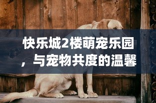快乐城2楼萌宠乐园，与宠物共度的温馨时光