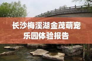 长沙梅溪湖金茂萌宠乐园体验报告