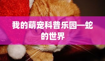 我的萌宠科普乐园—蛇的世界