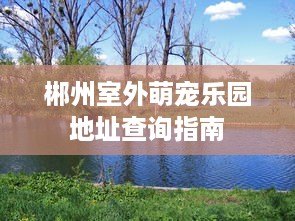 郴州室外萌宠乐园地址查询指南