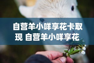 自营羊小咩享花卡取现 自营羊小咩享花卡，轻松取现，畅享生活！