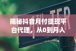揭秘抖音月付提现平台代理，从0到月入过万的正规操作指南