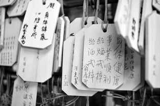 抖音月付在哪可以套出来贴吧 揭秘抖音月付套现攻略，贴吧里的秘密通道