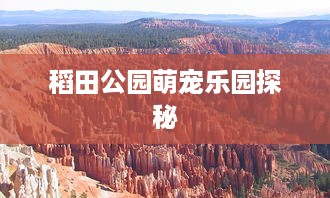 稻田公园萌宠乐园探秘