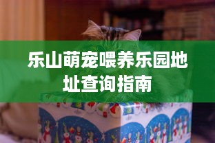 乐山萌宠喂养乐园地址查询指南