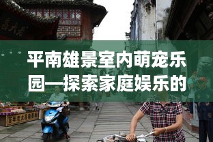 平南雄景室内萌宠乐园—探索家庭娱乐的新天地