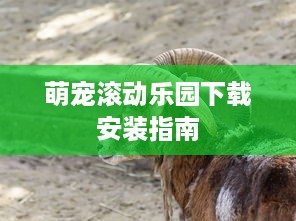 萌宠滚动乐园下载安装指南