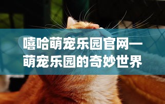 嘻哈萌宠乐园官网—萌宠乐园的奇妙世界