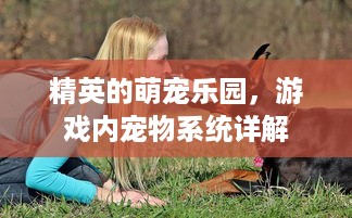 精英的萌宠乐园，游戏内宠物系统详解