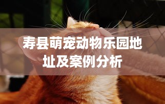 寿县萌宠动物乐园地址及案例分析