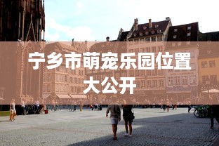 宁乡市萌宠乐园位置大公开