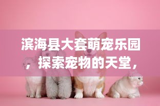 滨海县大套萌宠乐园，探索宠物的天堂，感受与动物的奇妙邂逅