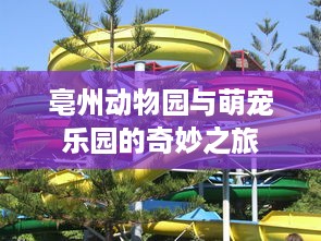 亳州动物园与萌宠乐园的奇妙之旅