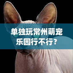 单独玩常州萌宠乐园行不行？
