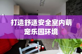 打造舒适安全室内萌宠乐园环境