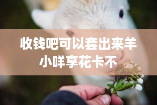 收钱吧可以套出来羊小咩享花卡不