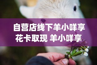 自营店线下羊小咩享花卡取现 羊小咩享花卡线下自营店取现，轻松便捷享优惠！