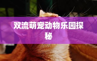 双流萌宠动物乐园探秘