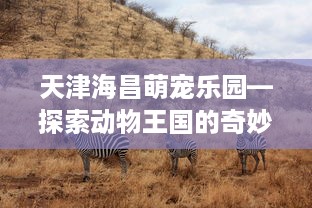 天津海昌萌宠乐园—探索动物王国的奇妙之旅