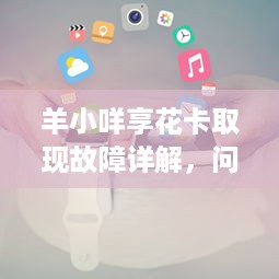 羊小咩享花卡取现故障详解，问题、原因与解决方案