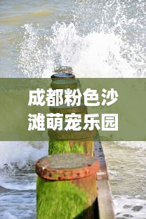 成都粉色沙滩萌宠乐园体验记