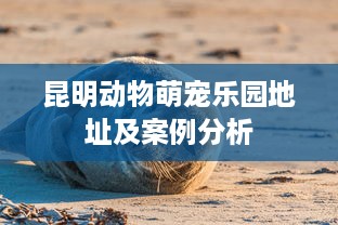 昆明动物萌宠乐园地址及案例分析