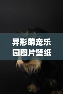 异形萌宠乐园图片壁纸大全