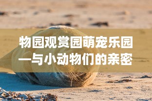 物园观赏园萌宠乐园—与小动物们的亲密接触
