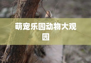 萌宠乐园动物大观园