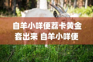 自羊小咩便荔卡黄金套出来 自羊小咩便荔卡黄金套，揭秘这款套卡的神奇魅力！