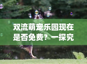 双流萌宠乐园现在是否免费？一探究竟