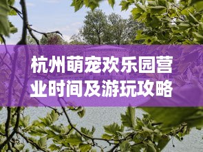 杭州萌宠欢乐园营业时间及游玩攻略