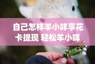 自己怎样羊小咩享花卡提现 轻松羊小咩享花卡提现攻略，让你钱袋子鼓起来！