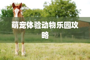 萌宠体验动物乐园攻略