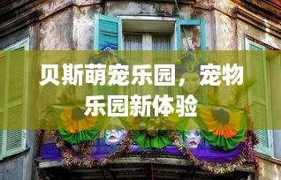贝斯萌宠乐园，宠物乐园新体验