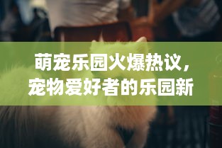 萌宠乐园火爆热议，宠物爱好者的乐园新选择